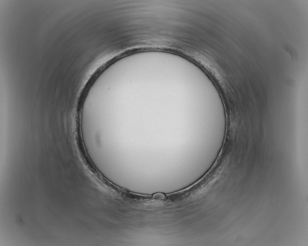 X0000111661085200907311133