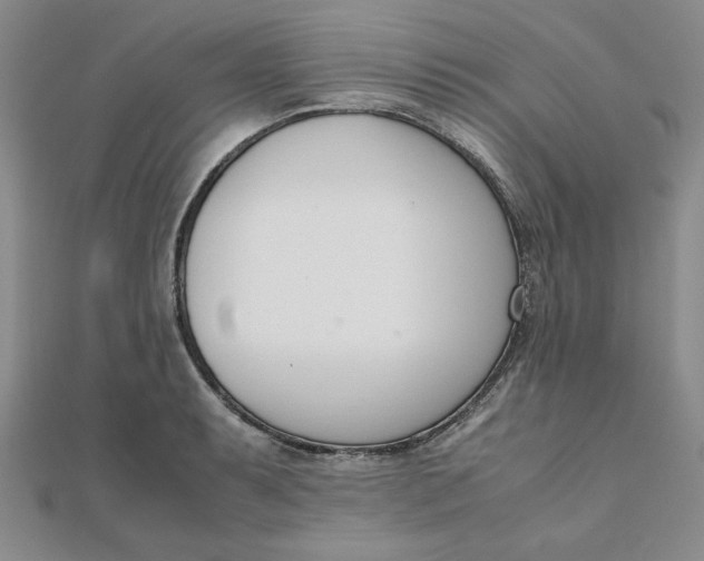 X0000111661087200907311133