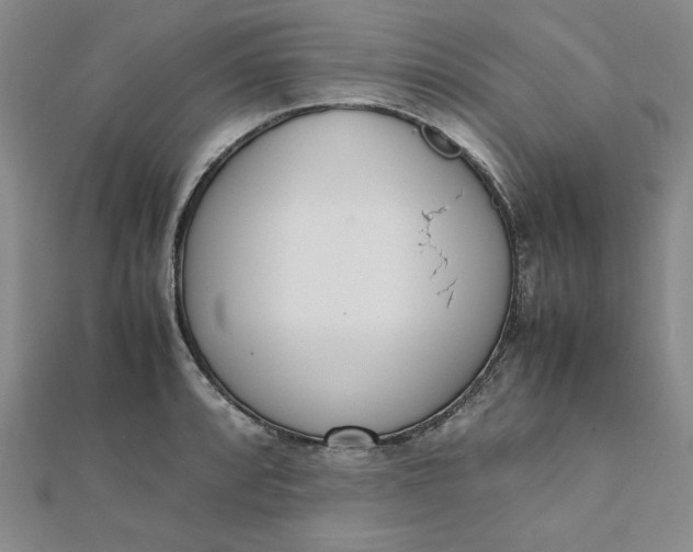 X0000111661088200907311133