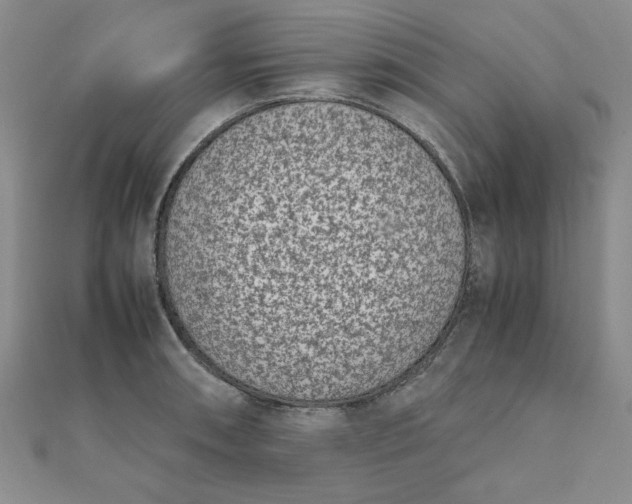 X0000111661090200907311133