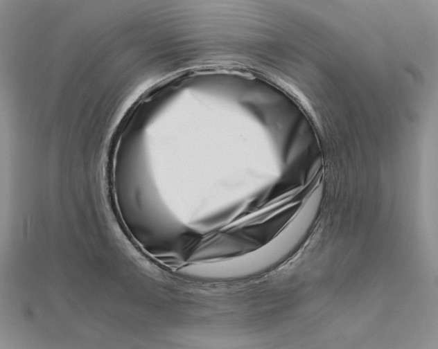 X0000111661091200907311133