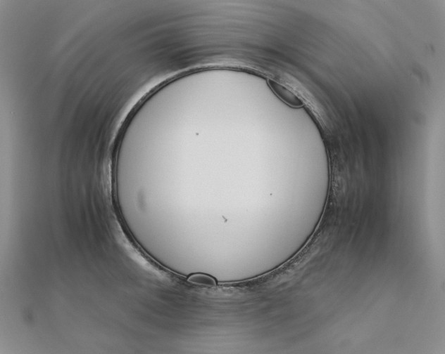 X0000111661092200907311133