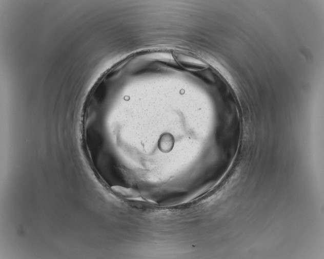 X0000111661093200907311133