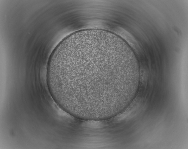 X0000111661094200907311133