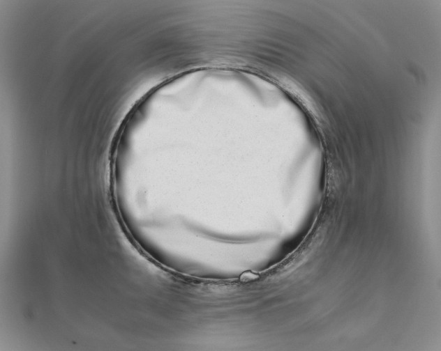 X0000111661095200907311133