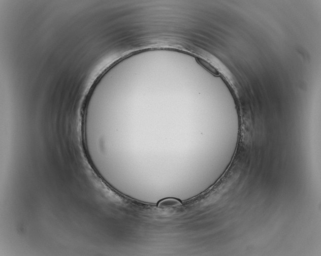 X0000111661096200907311133