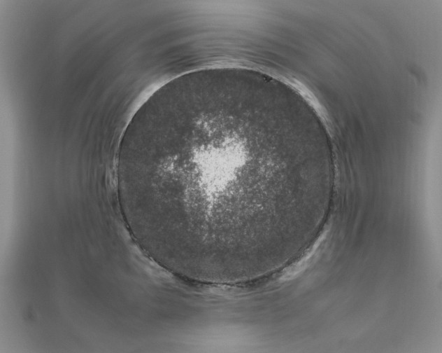 X0000111661097200907311133