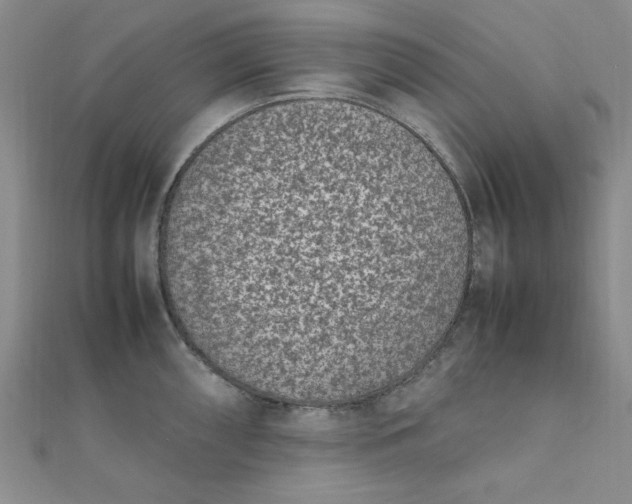 X0000111661098200907311133