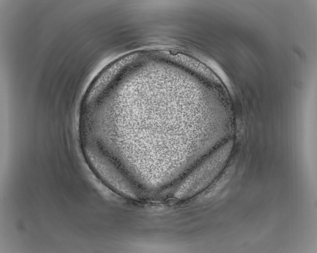 X0000111661099200907311133