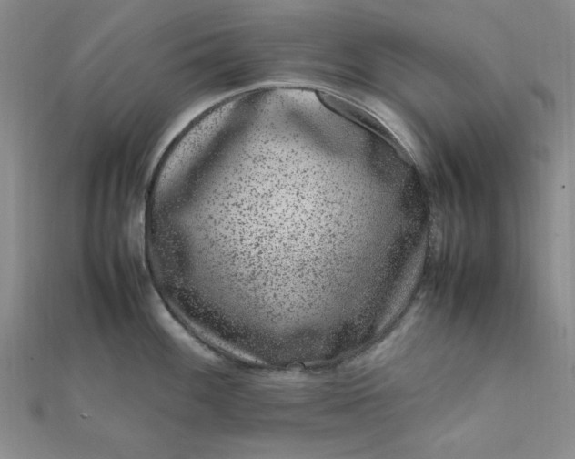 X0000111661100200907311133