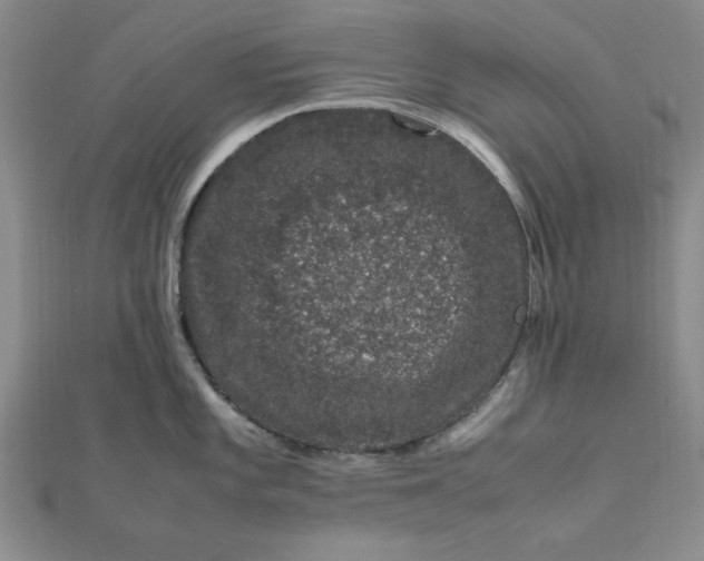 X0000111661101200907311133