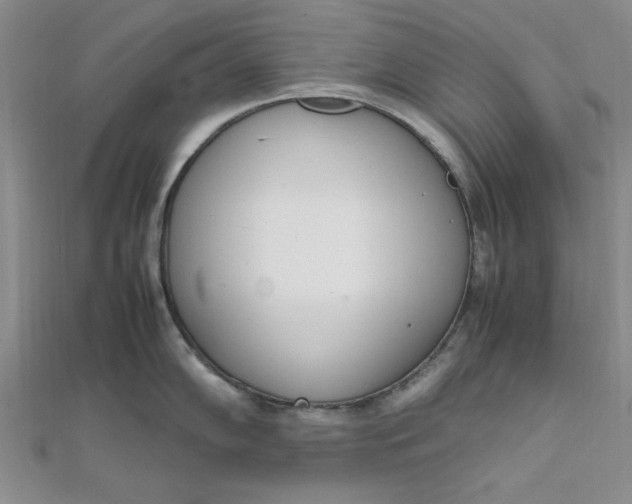 X0000111661102200907311133