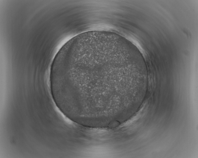 X0000111661103200907311133