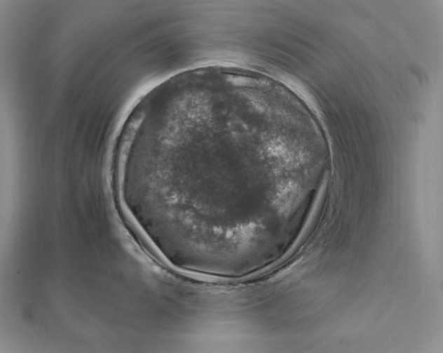 X0000111661104200907311133