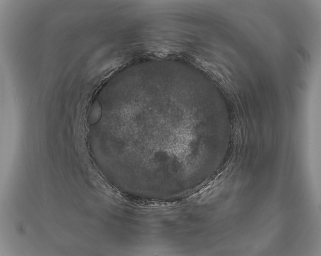 X0000111661105200907311132