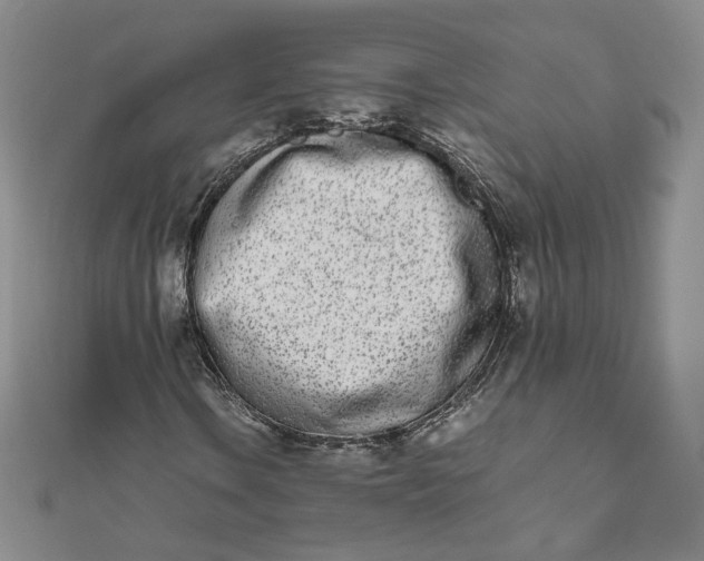 X0000111661106200907311132