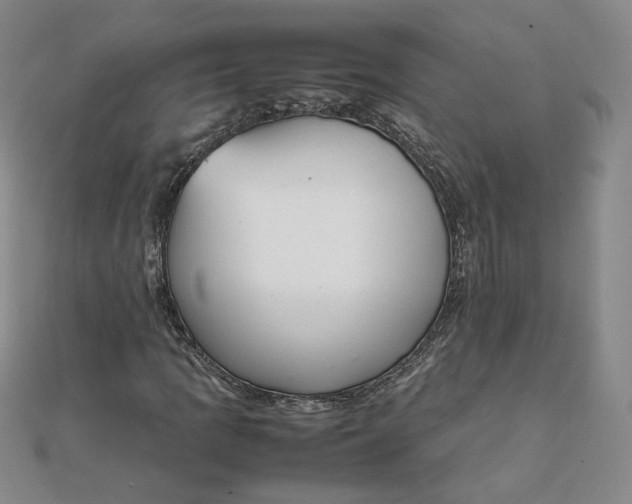 X0000111661109200907311132