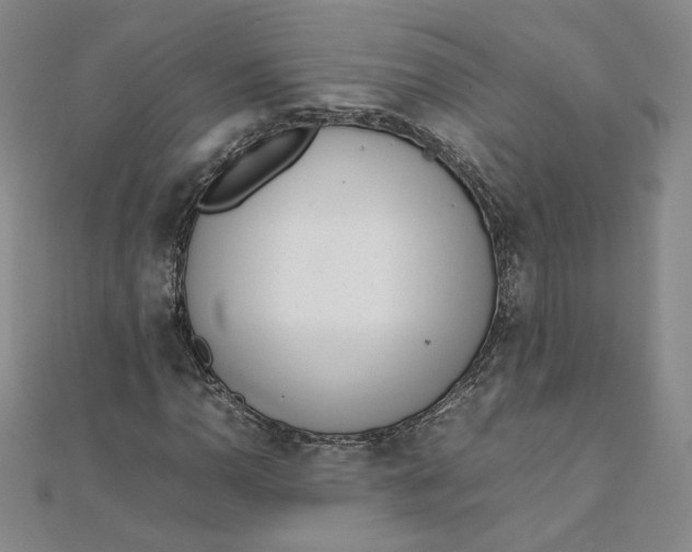 X0000111661110200907311132