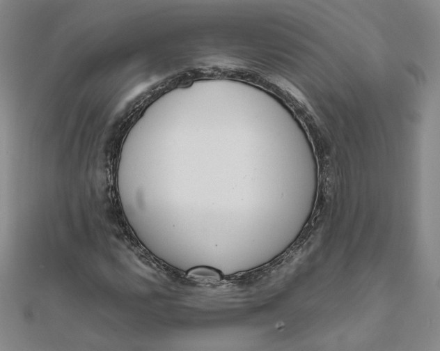 X0000111661112200907311132