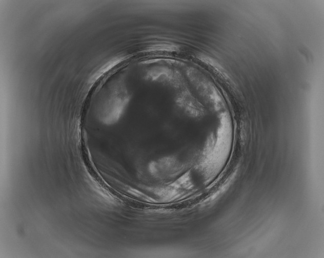 X0000111661113200907311132