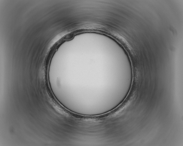 X0000111661114200907311132