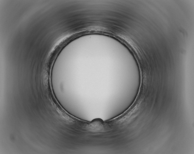 X0000111661115200907311132