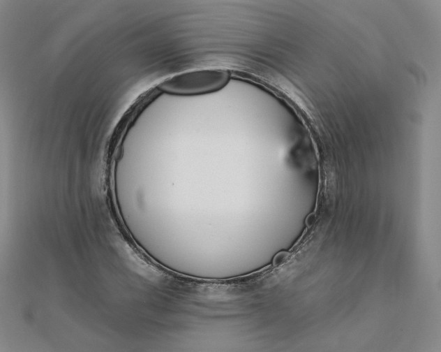 X0000111661116200907311132