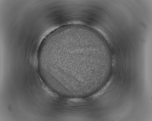 X0000111661117200907311132