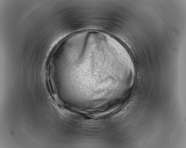 X0000111661119200907311132