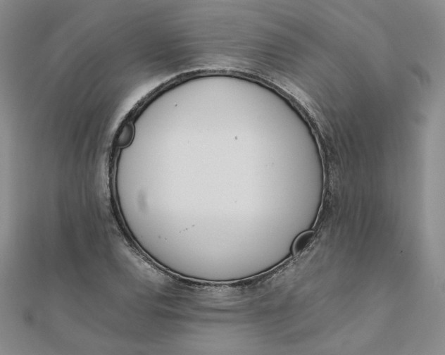 X0000111661120200907311132