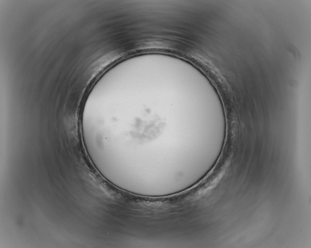 X0000111661121200907311132