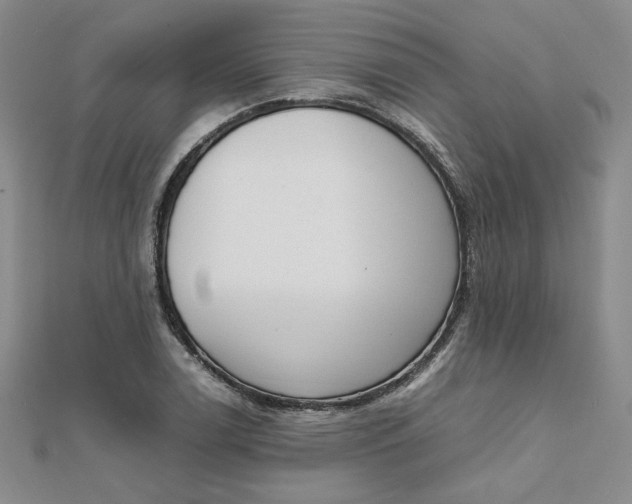 X0000111661122200907311132