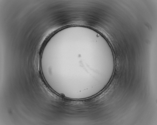 X0000111661123200907311132