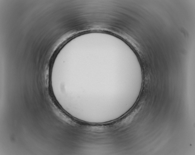 X0000111661126200907311132