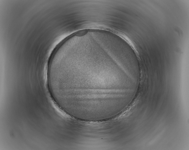 X0000111661128200907311132