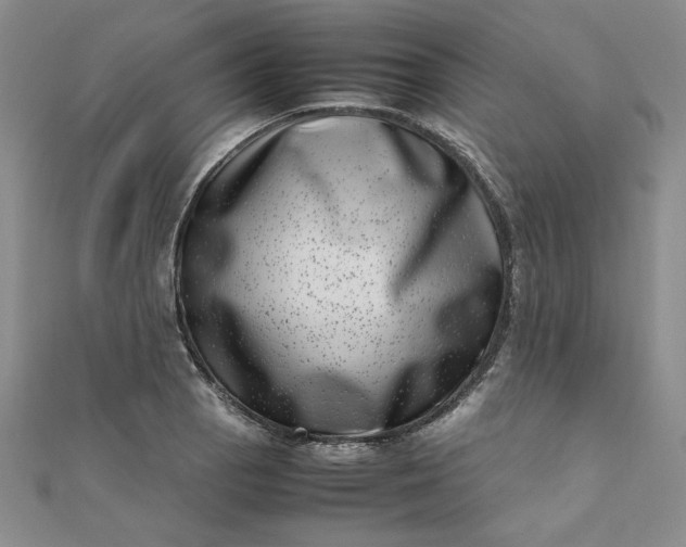 X0000111661129200907311132