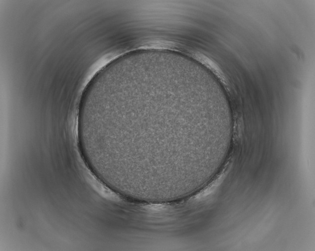 X0000111661130200907311132