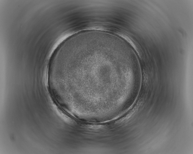 X0000111661131200907311133