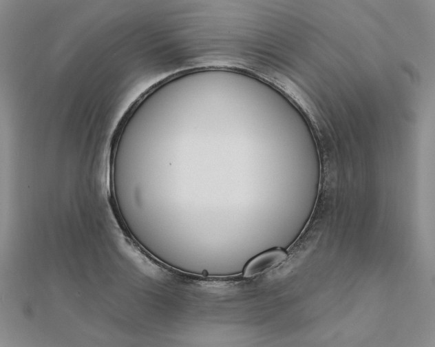 X0000111661132200907311133