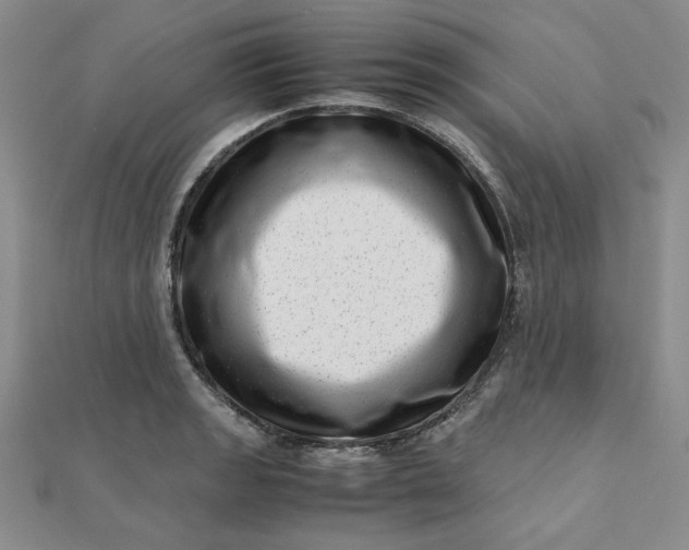 X0000111661133200907311133