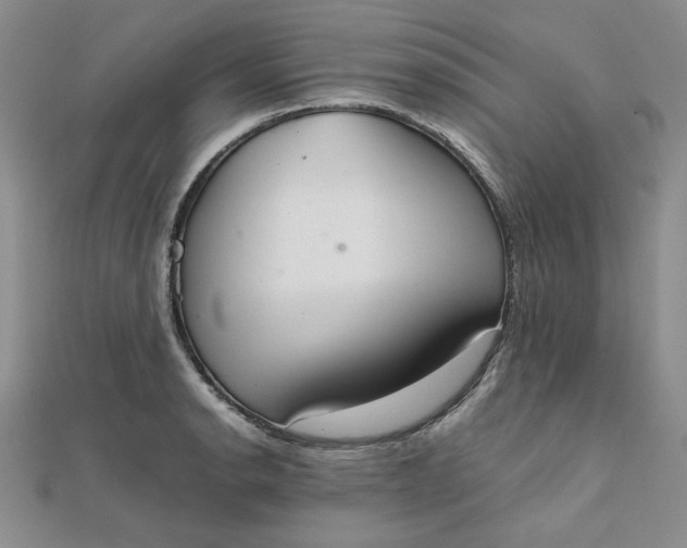 X0000111661134200907311133