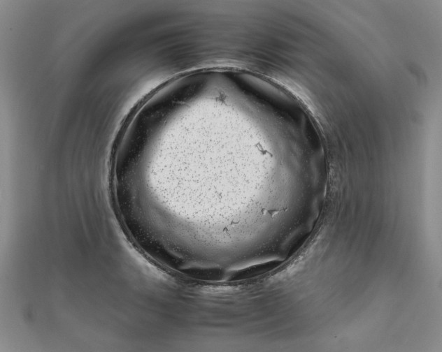 X0000111661135200907311133