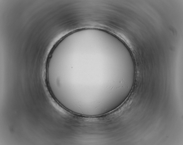 X0000111661136200907311133