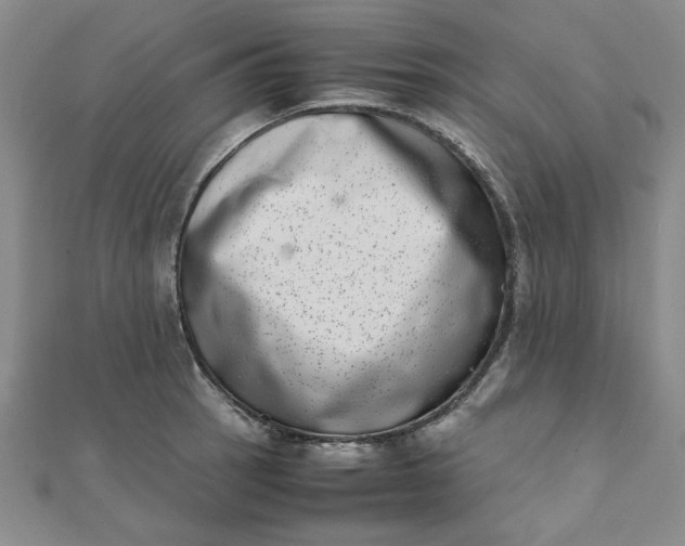 X0000111661137200907311133