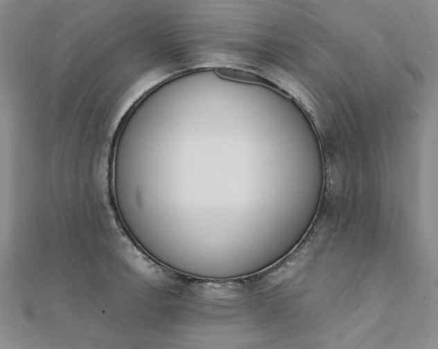 X0000111661138200907311133