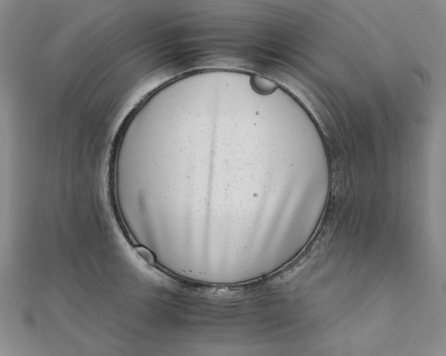 X0000111661139200907311133