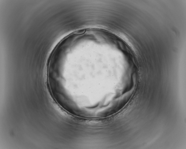 X0000111661140200907311133