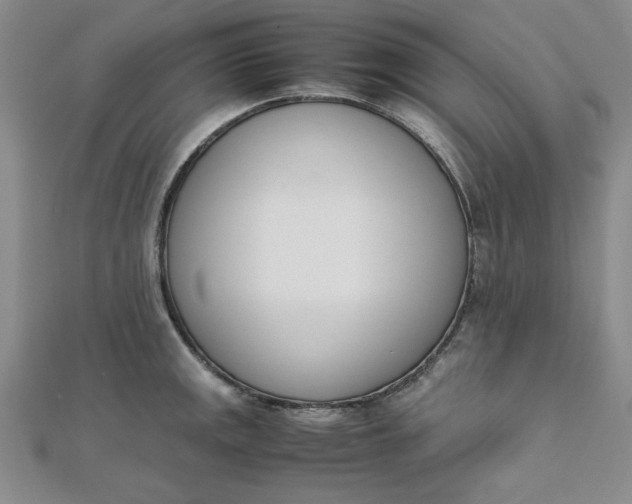 X0000111661141200907311133