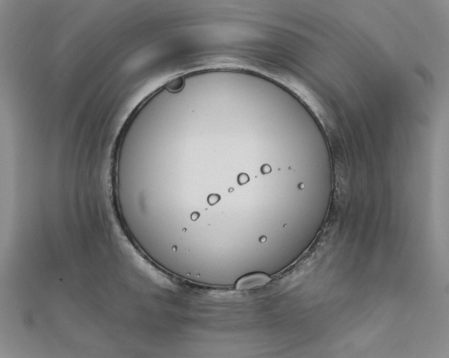 X0000111661142200907311133