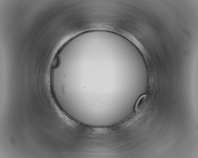 X0000111661144200907311133